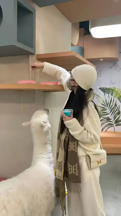 在线观看肉片AV网站免费_国产成人综合日韩精品无码不卡_女人与公拘交酡过程